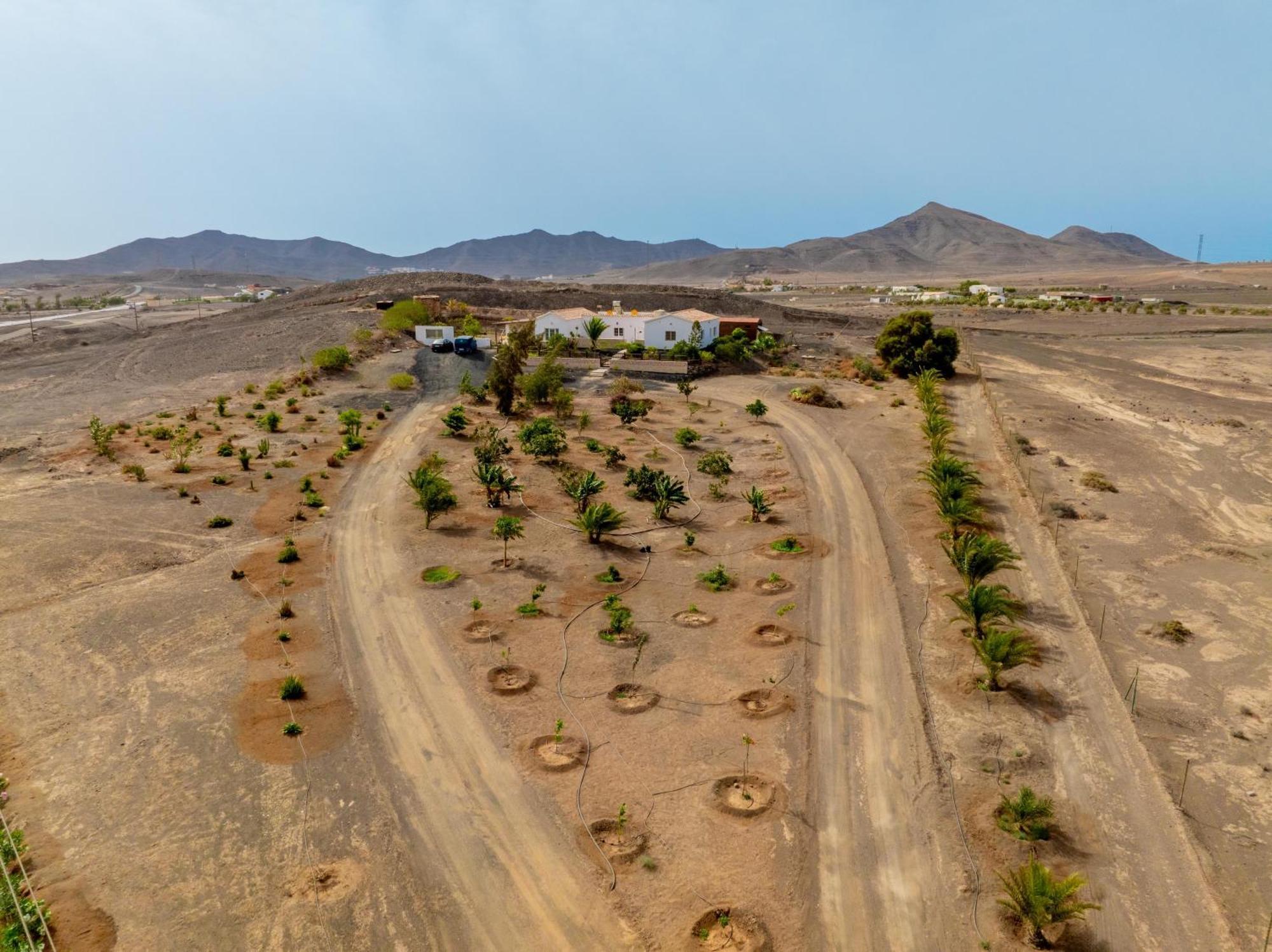 Casa Amaya - Spacious House With Pool, Large Garden, Bbq, 2 Terraces, And Ideal Location El Charco  Екстер'єр фото